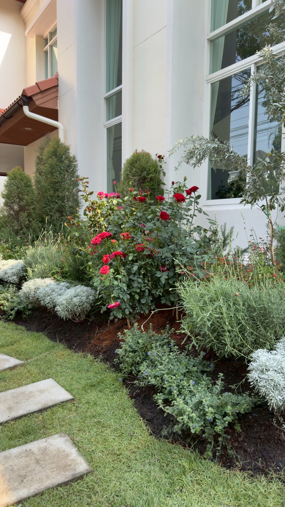 nontaburi_2 project detail 29